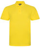 Picture of Value Polo (Adults)