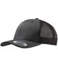Picture of Retro Trucker Cap